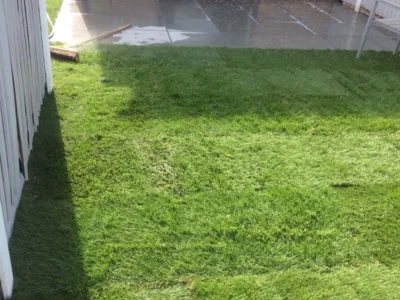 Professional landscapers 5 Woodford